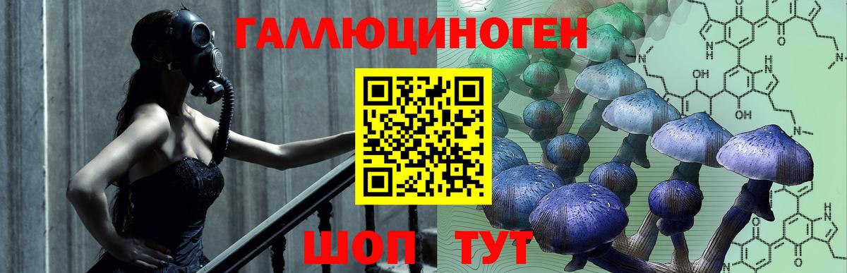 Псилоцибиновые грибы Psilocybine cubensis  Вход с VPN  Абакан  дарнет шоп  Псилоцибиновые грибы GOLDEN TEACHER 